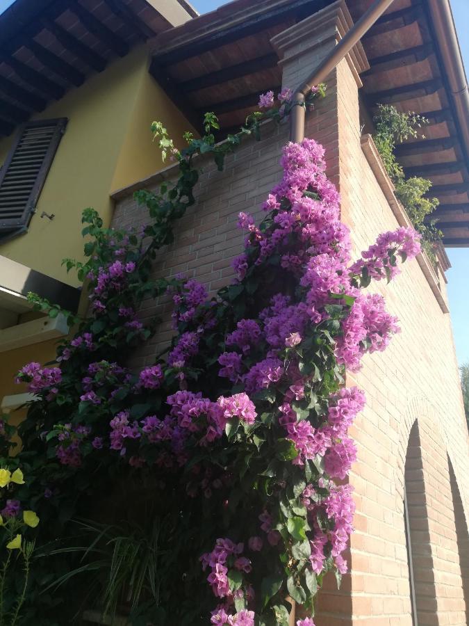 Casolare Isabella "Il Rifugio Dei Vinili" And Alice'S Room Понсако Екстериор снимка
